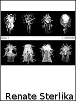 Renate Sterlika: Fetische & Zauberfiguren